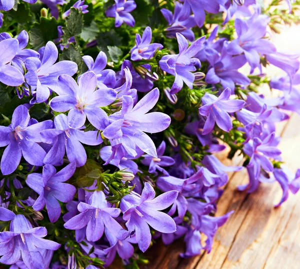 Ahşap Bir Yüzey Üzerinde Mavi Bahçe Çiçekleri Olan Klasik Kırsal — Stok fotoğraf