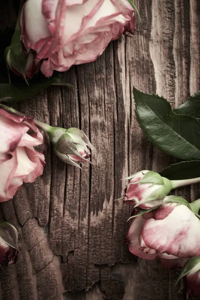 Vintage Background Peony Flowers Aged Wooden Surface — Stock Photo, Image