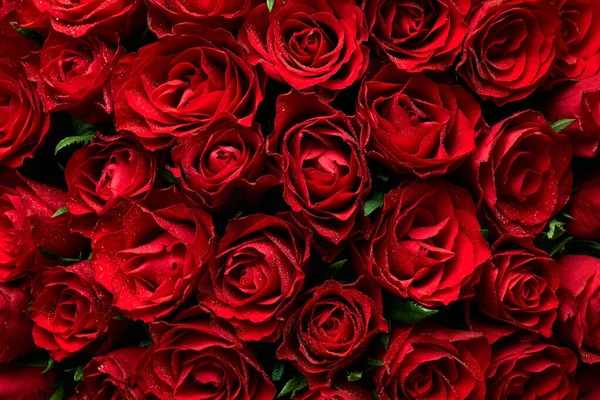 赤いバラの花の花束の質感 — ストック写真