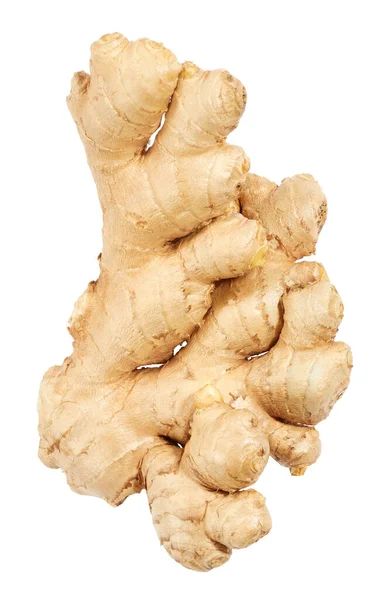 Ginger Root Isolated White Background Food Spicy Ingredient — Stock Photo, Image