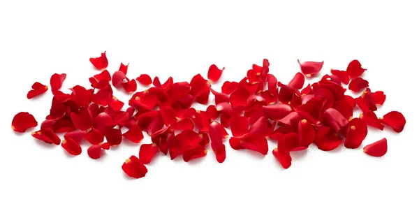 Pétalas Rosa Vermelha Isoladas Fundo Branco — Fotografia de Stock