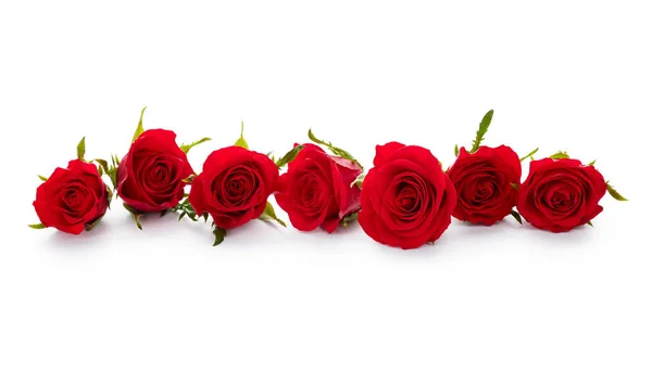 Κόκκινα Τριαντάφυλλα Λουλούδια Απομονωμένα Λευκό Φόντο — Φωτογραφία Αρχείου