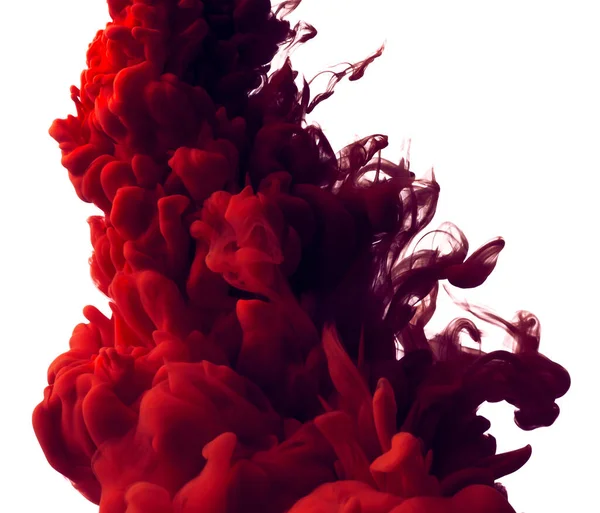 Rode Abstracte Verf Splash Geïsoleerd Witte Achtergrond — Stockfoto