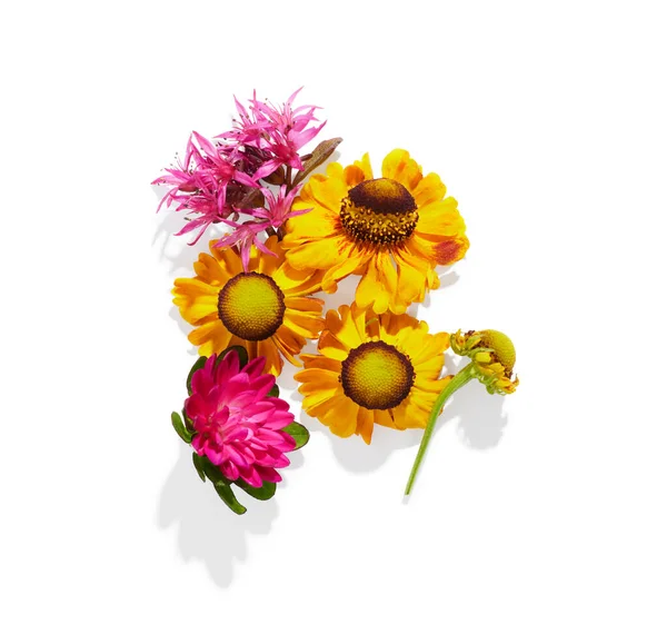 Beyaz Arka Planda Küçük Yaz Çiçekleri — Stok fotoğraf