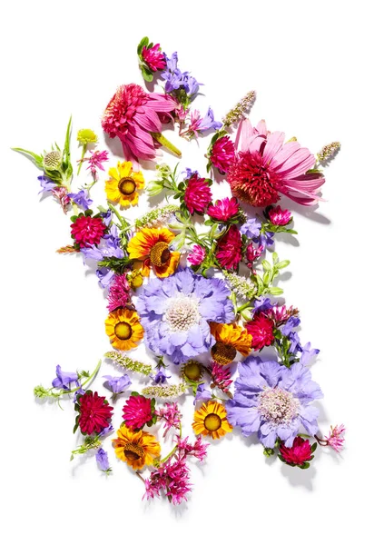Florecen Flores Silvestres Aisladas Sobre Fondo Blanco Fondo Textura Floral — Foto de Stock