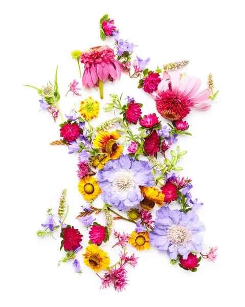 Beyaz Arka Planda Izole Edilmiş Yaz Çiçekleri Çiçek Dokusu Arkaplanı — Stok fotoğraf
