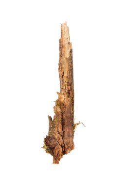 Broken wooden stick isolated on white background