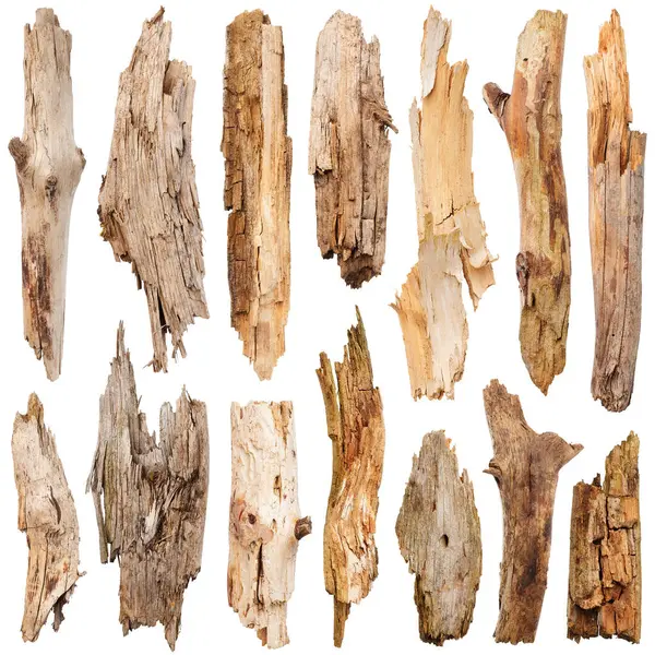 Broken Wooden Sticks Isolated White Background Parts Trunk Tree — Stock Photo, Image
