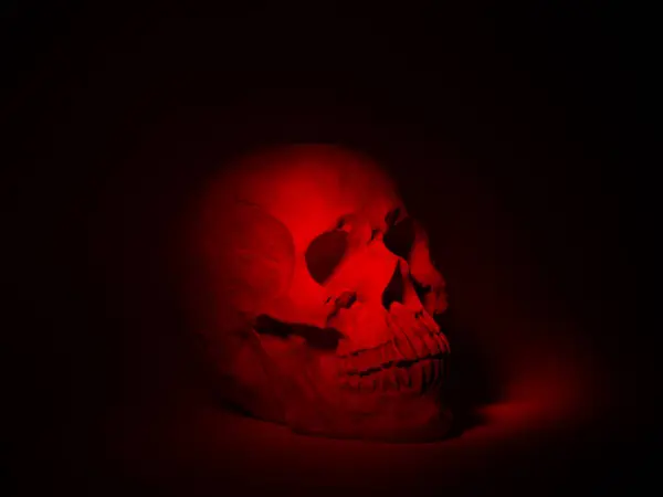 Dark Background Skull Lighted Red Light — Stock Photo, Image