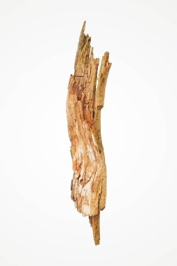 Broken wooden stick isolated on white background