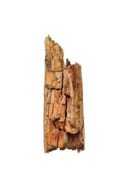 Broken wooden stick isolated on white background