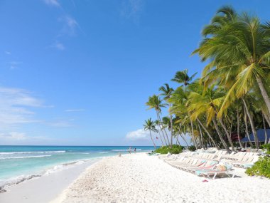Karayipler sahilinde güneşli bir gün. Hindistan cevizi ağaçları, dinlenme odaları ve ılık mavi deniz var.