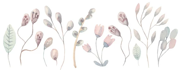 Erdő Rét Növények Virágok Gyógynövények Zöld Ágak Illusztráció Kézzel Rajzolt — Stock Fotó