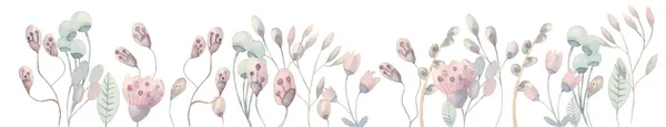 Лісові Лугові Рослини Квіти Трави Зелені Гілки Ілюстрації Ручної Роботи — стокове фото