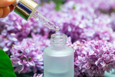 Lilac pure oil, lilac flowers essential oil bottle with pipette, aromatherapy and spa setting 
