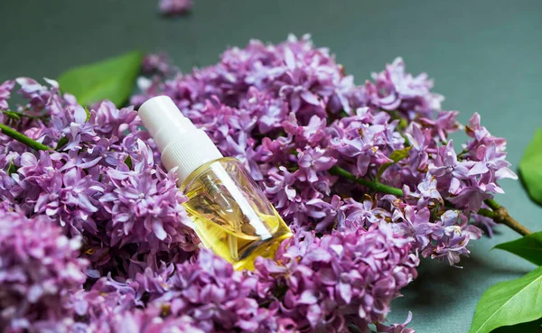 Lilac pure oil, lilac flowers essential oil bottle with pipette, aromatherapy and spa setting