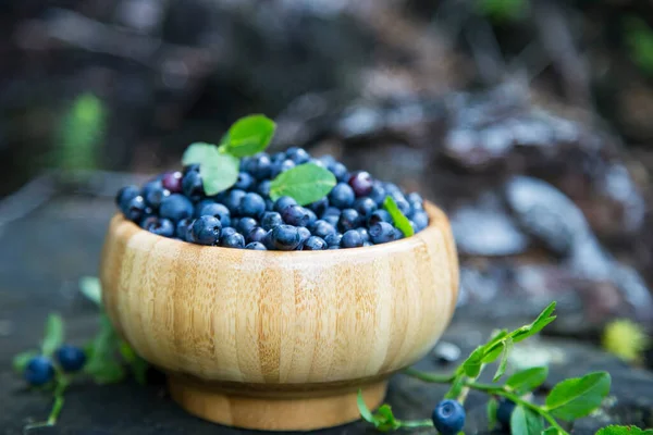 Wild Blueberries Summer Forest Wild Blueberries Healthy Fresh Berries Full — Stock Photo, Image