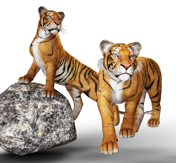 Two tigers standing by rock fantasy illustration