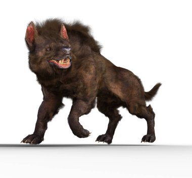 Yaban domuzu / köpek / Tazmanya canavarı / varg illüstrasyonu