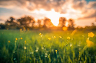 Gün batımında bulanık alan