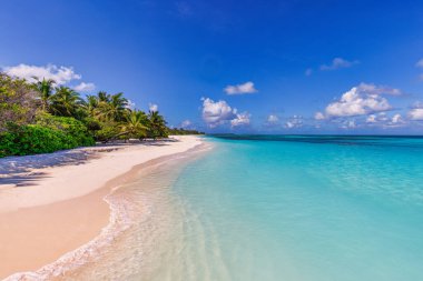 Palmiye ağaçları olan güzel tropikal deniz plajı