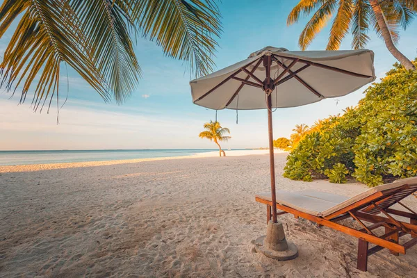 의자가 아름다운 모래사장 — 스톡 사진