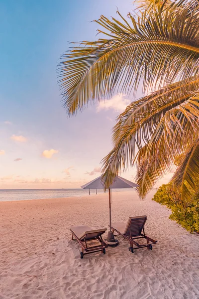 Όμορφη Αμμώδης Παραλία Ομπρέλα Και Καρέκλες Στο Ηλιοβασίλεμα — Φωτογραφία Αρχείου