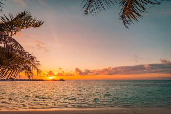 Красиве Піщане Узбережжя Пляжу Заході Сонця — стокове фото