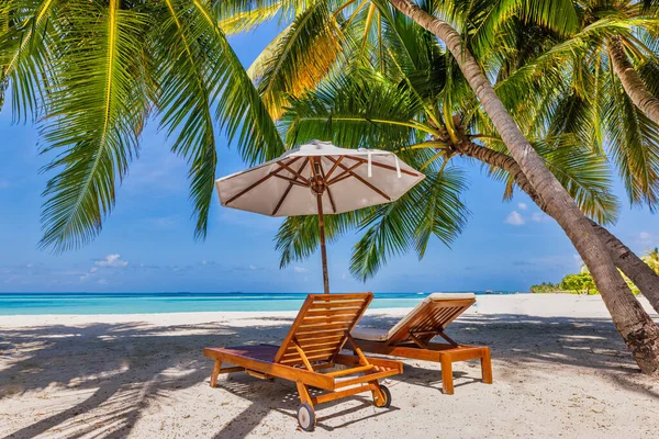 Şemsiyeli Sandalyeli Güzel Kumlu Sahil — Stok fotoğraf