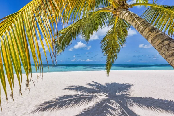 美丽的热带沙滩 阳光明媚 — 图库照片