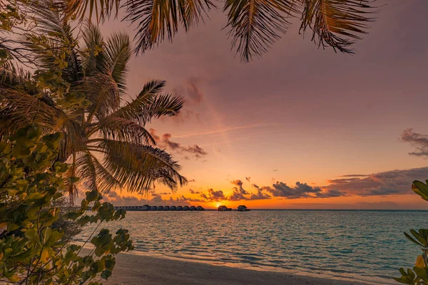 Beautiful Sandy Beach Coast Sunset — Stock Photo, Image