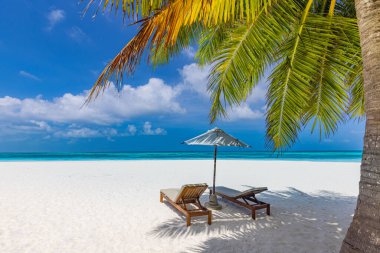 Sunbeds with umbrella on clear seashore - concept of luxurious vacation