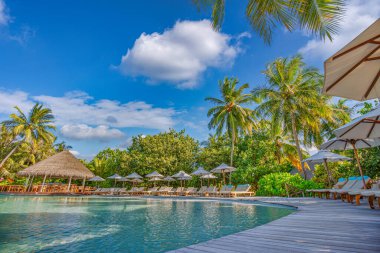 Tropikal tatilde deniz kenarında havuz