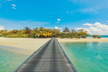 Pier made with wooden planks leading to paradise island with palms