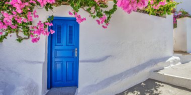 Mavi kapılı ve çatısı parlak pembe çiçekli ev, Santorini, Yunanistan.