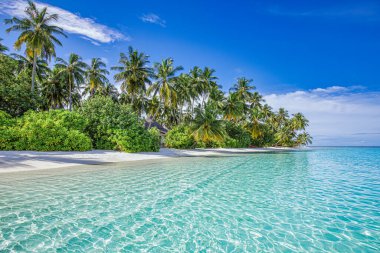 Sunny tropical seaside scenery, nature background