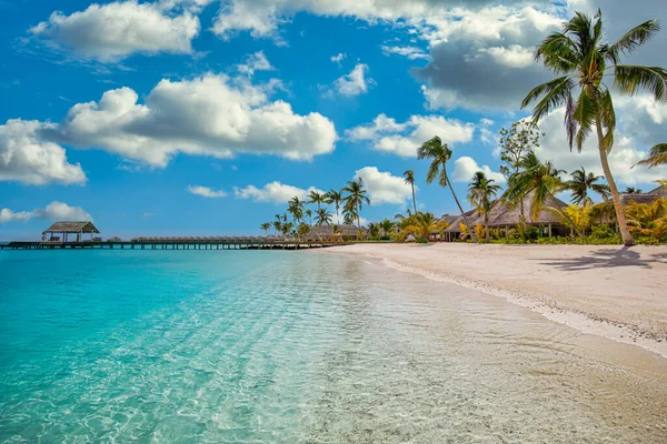 热带风景在白天 绿松石海滨与透明的水 — 图库照片