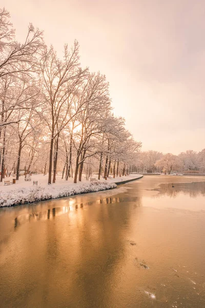 寒い日に川と冬の公園 — ストック写真