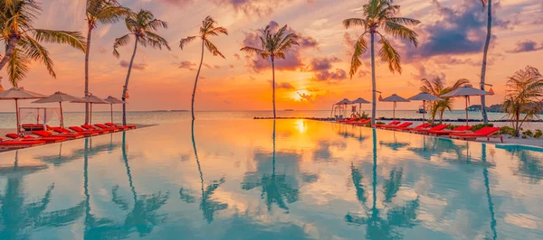 Majestic Sunset Tropical Beach Golden Hour — Stockfoto
