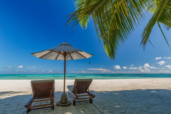 Cozy Sunbeds Umbrella Tropical Shore — Stockfoto