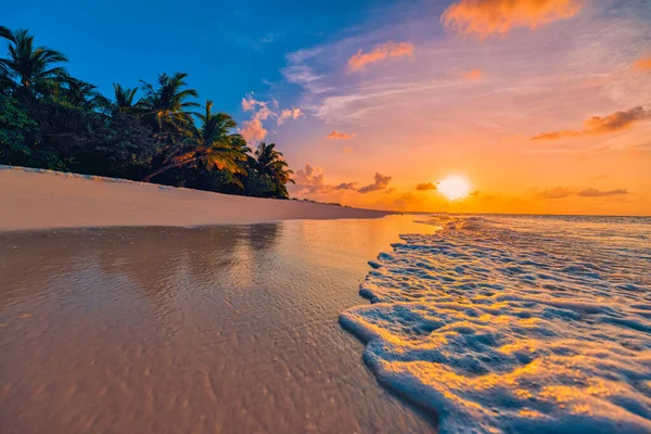 Majestetisk Solnedgang Tropisk Strand Gyllen Time – stockfoto