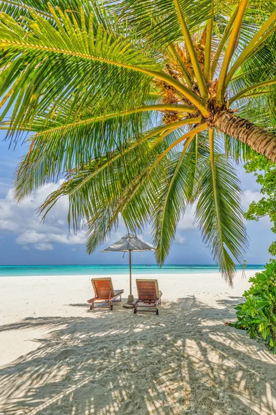 Cozy Spot Sunbeds Umbrella Tropical Seashore — Stock Photo, Image