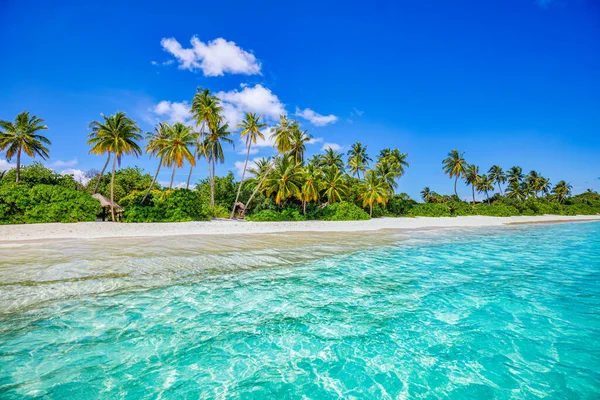 Sunny Tropical Seaside Scenery Nature Background — Stock Photo, Image