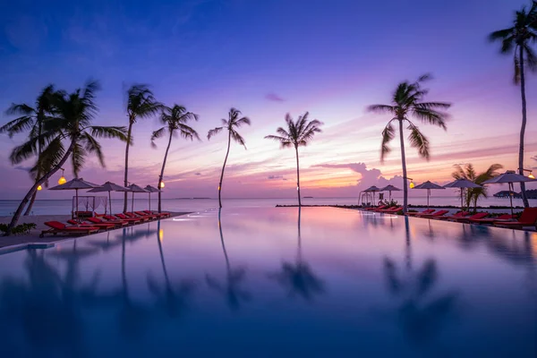 Tropical Seaside Sunset Violet Colours — стоковое фото