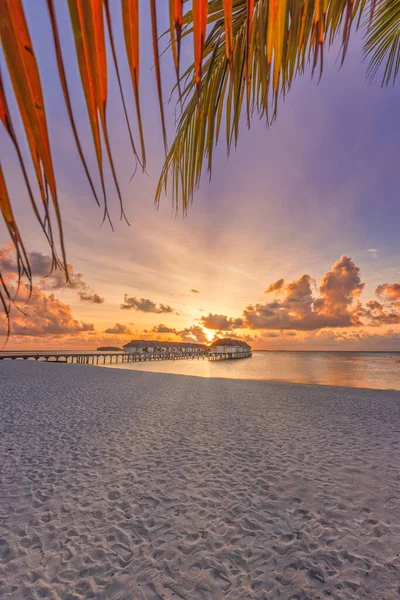 Majestic Sunset Tropical Beach Golden Hour — Stock Photo, Image