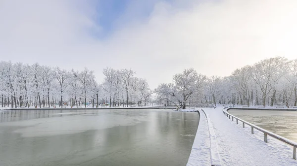 Winterpark Met Rivier Koude Dag — Stockfoto