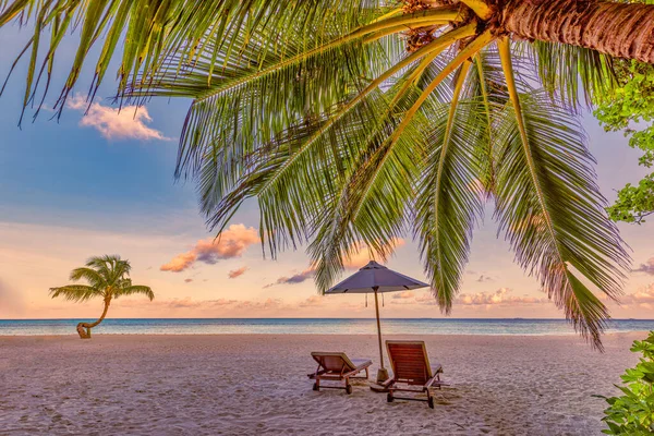 Sunbeds Umbrella Clear Seashore Concept Luxurious Vacation — 图库照片