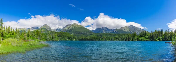 公園の湖の上の景色のパノラマハイタトラ Strbskeプレソ スロバキア 素晴らしい夏の風景 自然の絵のような景色 素晴らしい自然の広い背景 緑の森 青い日当たりの良い空の雲 — ストック写真
