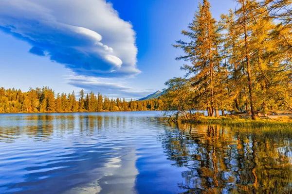 Schöne Goldfarbene Bäume Mit Herbstlicher Seenlandschaft Ruhiger Herbstsonnenuntergang Ruhigen Morgen — Stockfoto