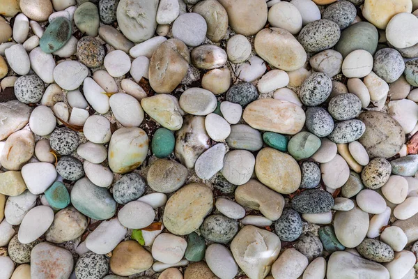 Zaoblené Oblázky Pozadí Textury Abstraktní Přírodní Pozadí Kulatými Oblázkovými Kameny — Stock fotografie